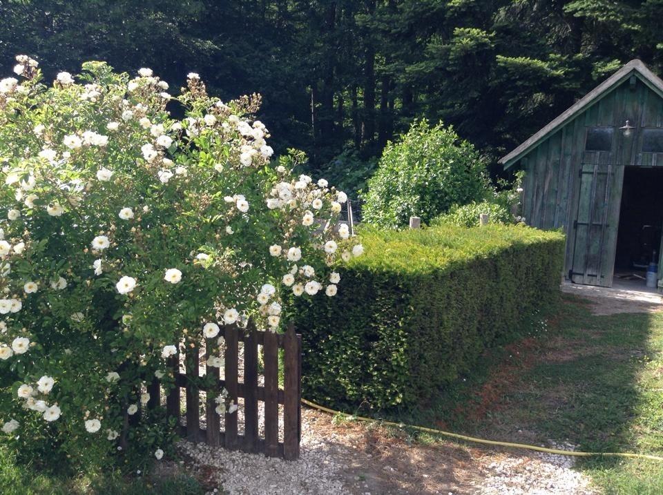 La Maison D'Ambre Villa Saint-Laurent-en-Gâtines Eksteriør bilde