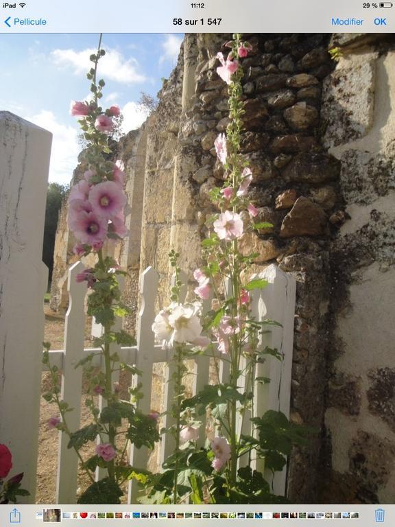 La Maison D'Ambre Villa Saint-Laurent-en-Gâtines Eksteriør bilde